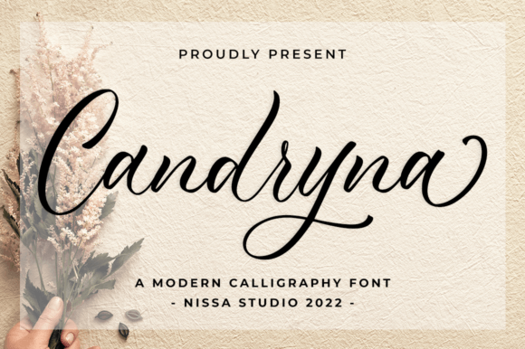 Candryna: The Handwritten Font That Elevates Campaign Design