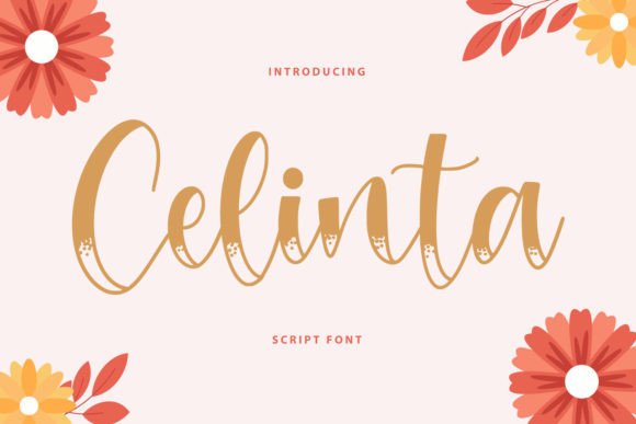 Celinta: A Designer's Review of This Elegant Script