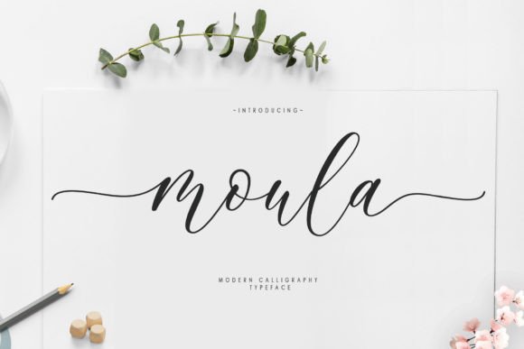 Moula Font: Elevating Brand Identity with Elegant Script